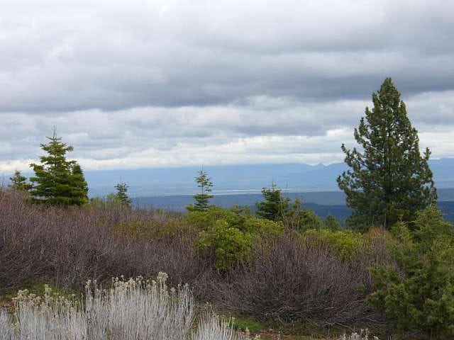 California Pines Tract 2 photo 9