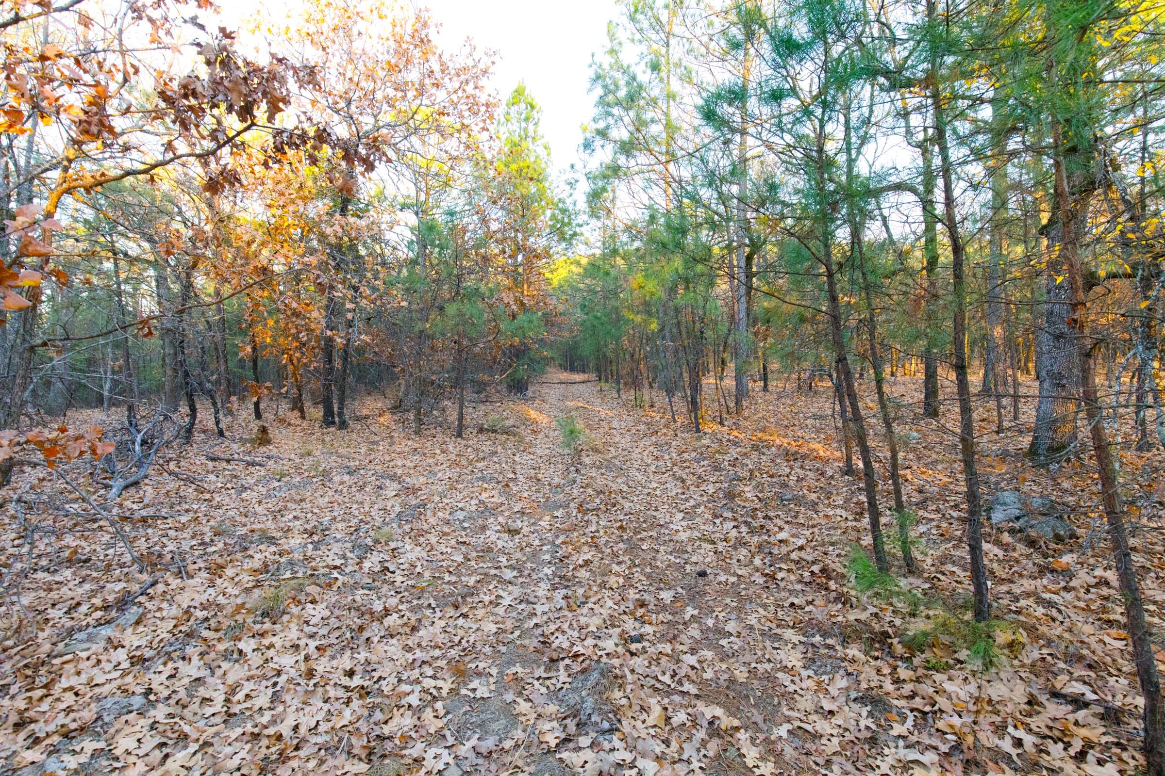 Stone Bridge Phase II Tract 121 photo 5