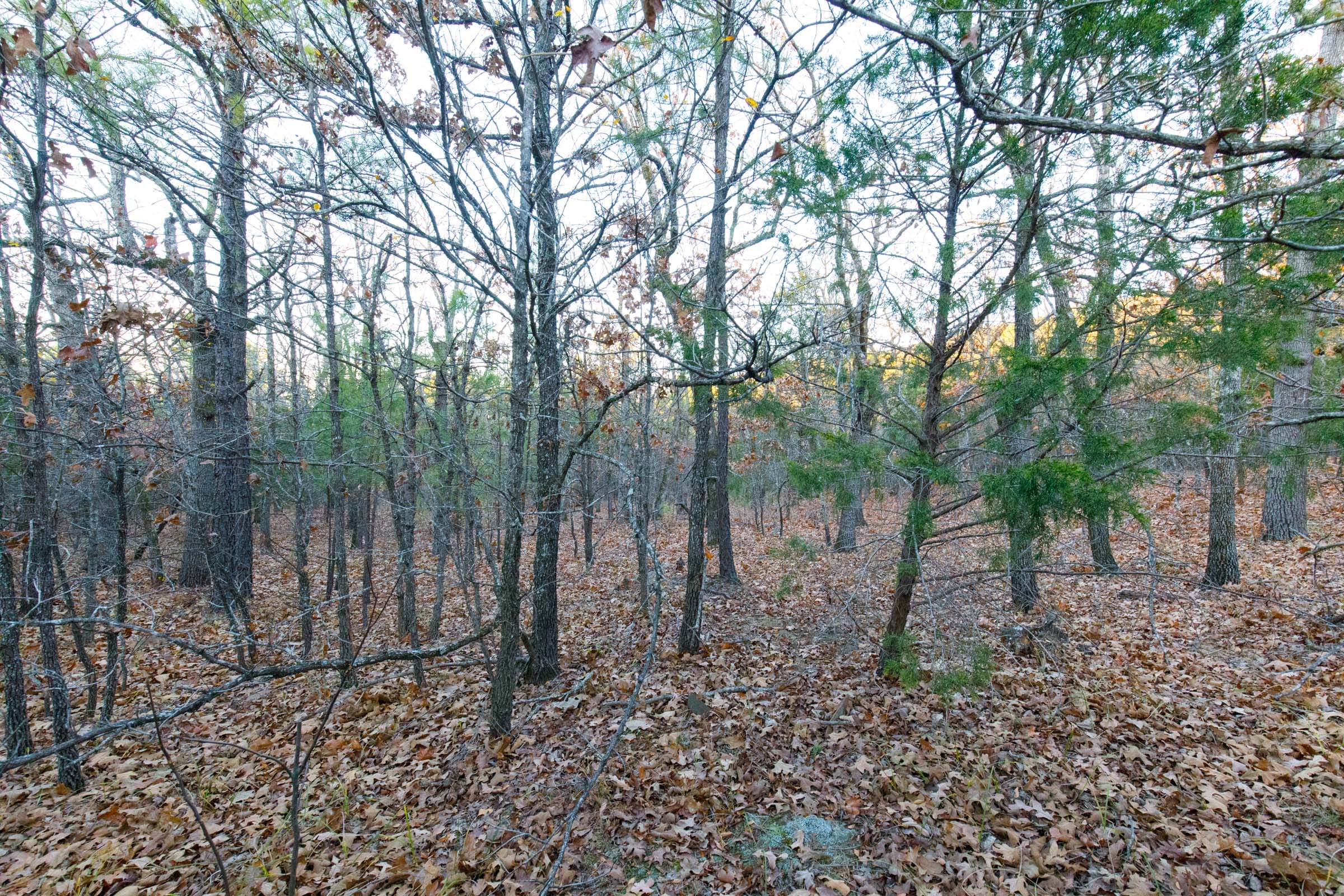 Stone Bridge Phase II Tract 121 photo 10