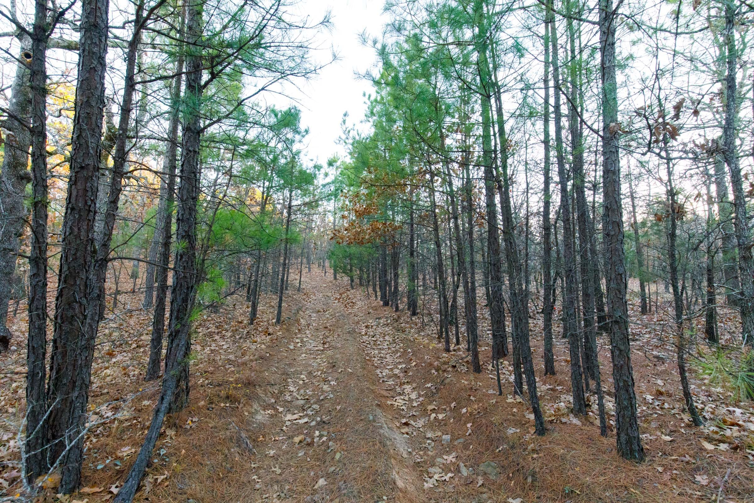 Stone Bridge Phase II Tract 121 photo 1