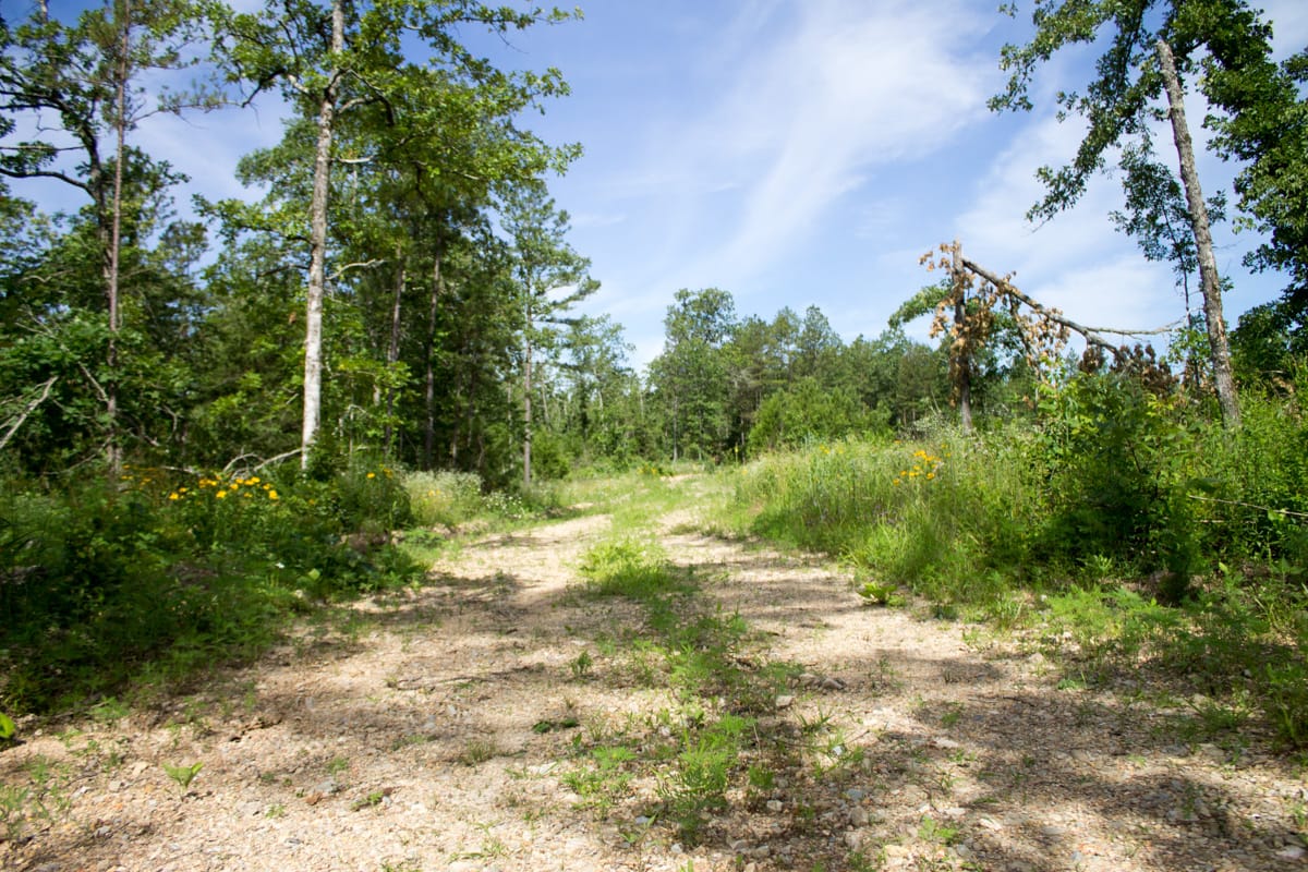 Timber Crossing Tract 30 photo 2