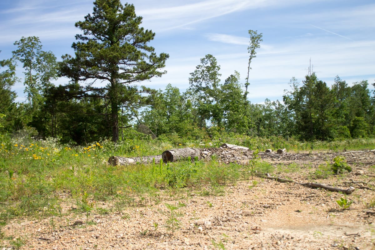 Timber Crossing Tract 30 photo 4