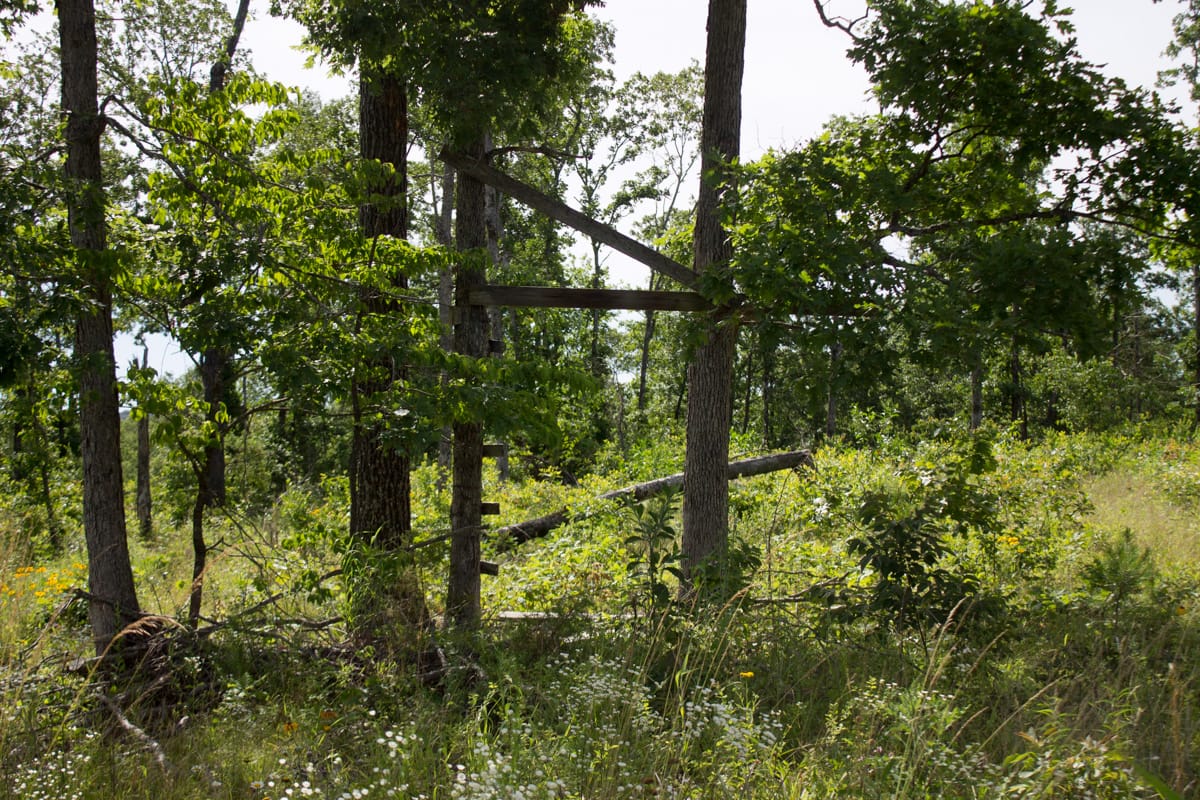 Timber Crossing Tract 30 photo 9