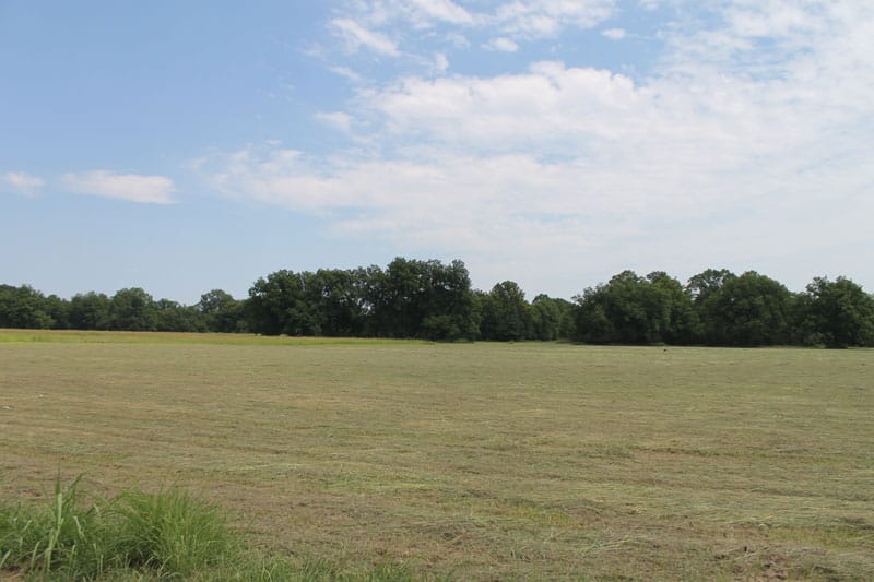 McCoy Creek Ranch Tract 7 photo 4