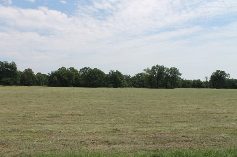 McCoy Creek Ranch Tract 7 photo 5