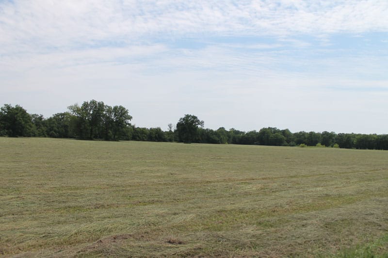 McCoy Creek Ranch Tract 7 photo 6