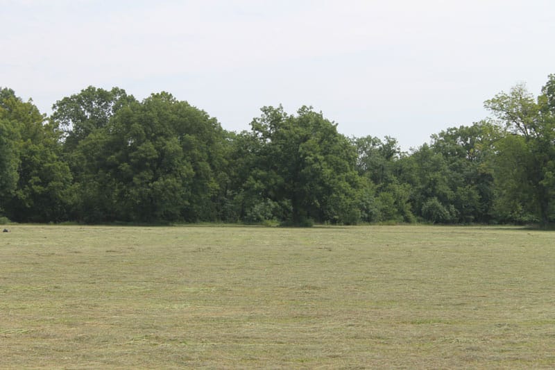 McCoy Creek Ranch Tract 7 photo 7