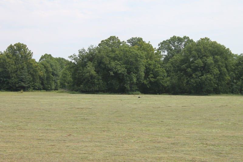McCoy Creek Ranch Tract 7 photo 8