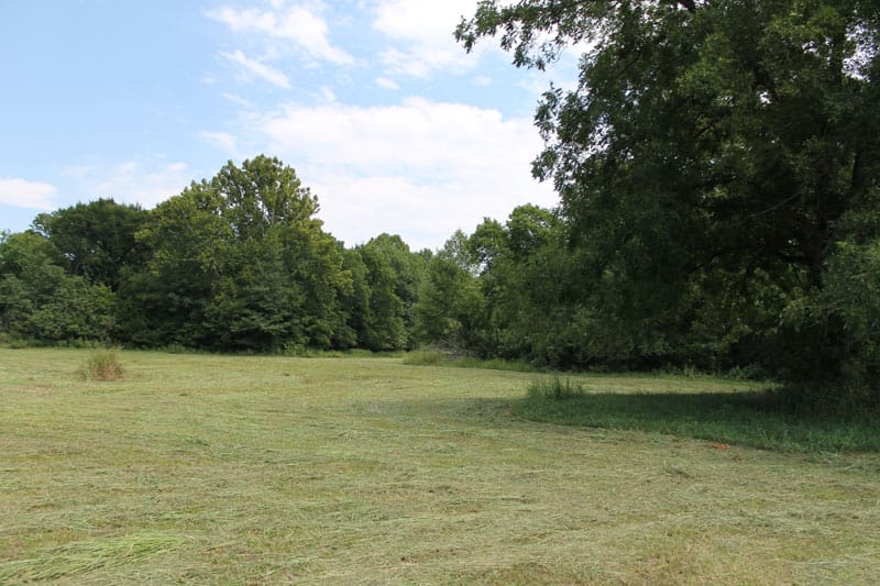 McCoy Creek Ranch Tract 7 photo 9