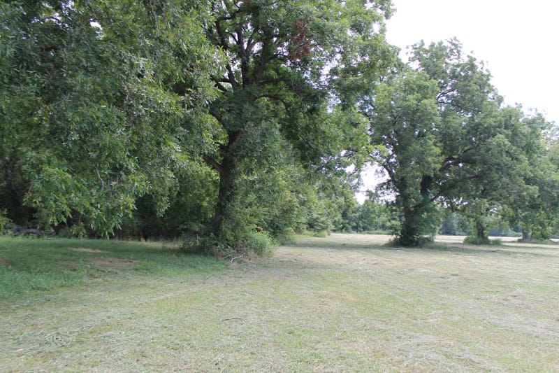 McCoy Creek Ranch Tract 7 photo 10