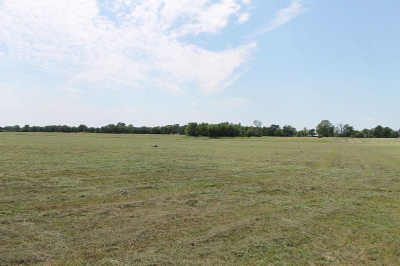 McCoy Creek Ranch Tract 7 photo 11