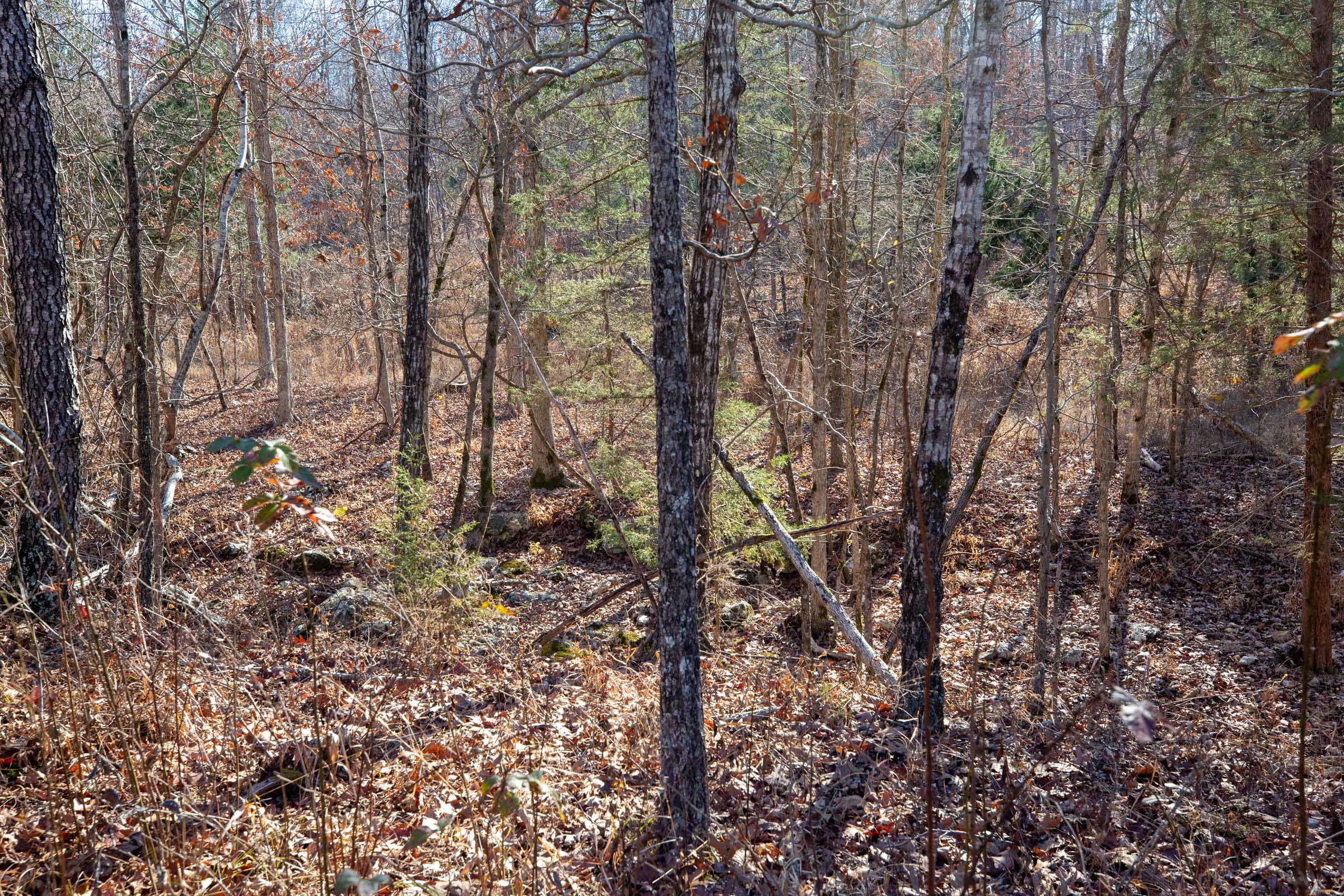 Dutchman Hollow Tract 12 photo 7