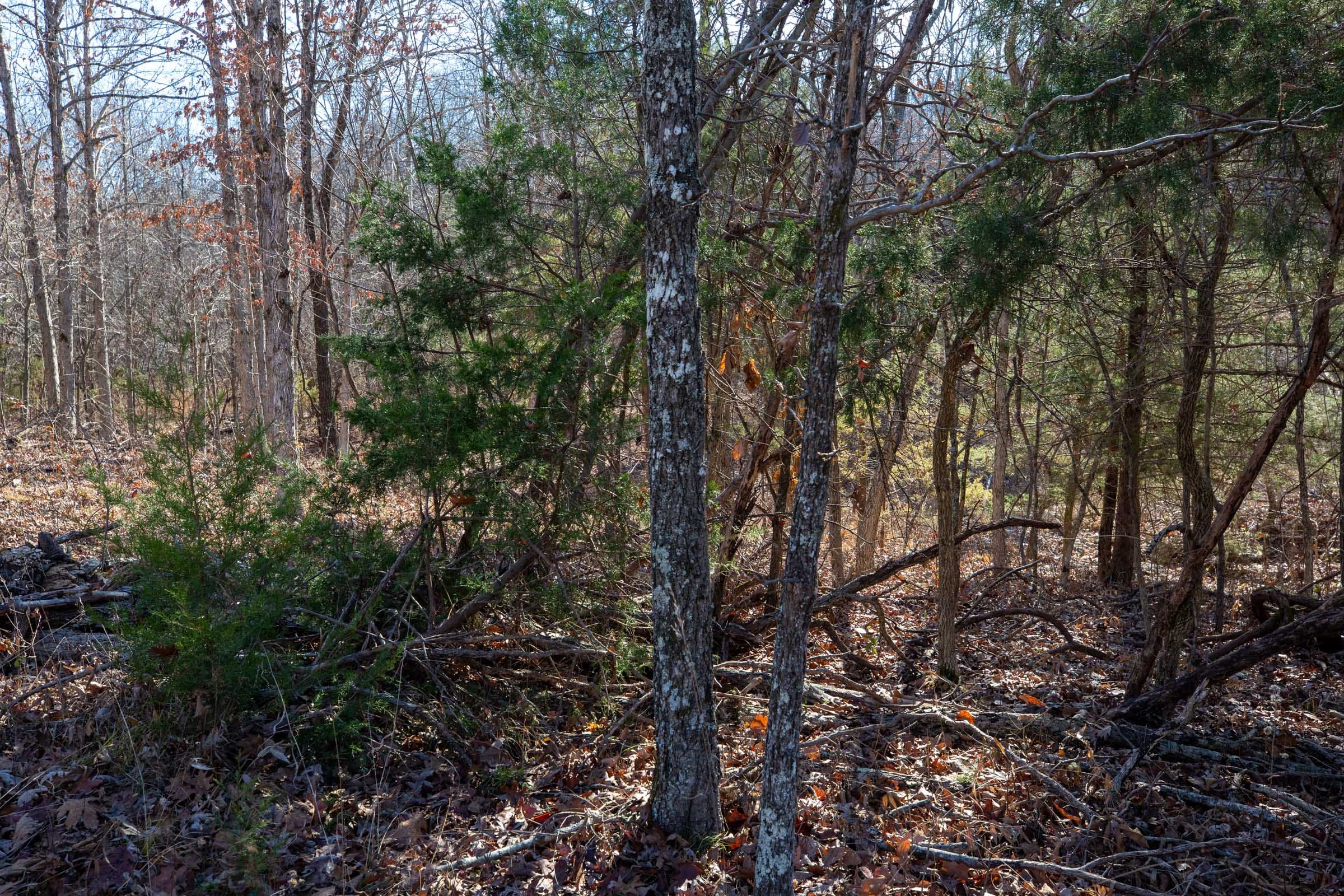 Dutchman Hollow Tract 12 photo 9