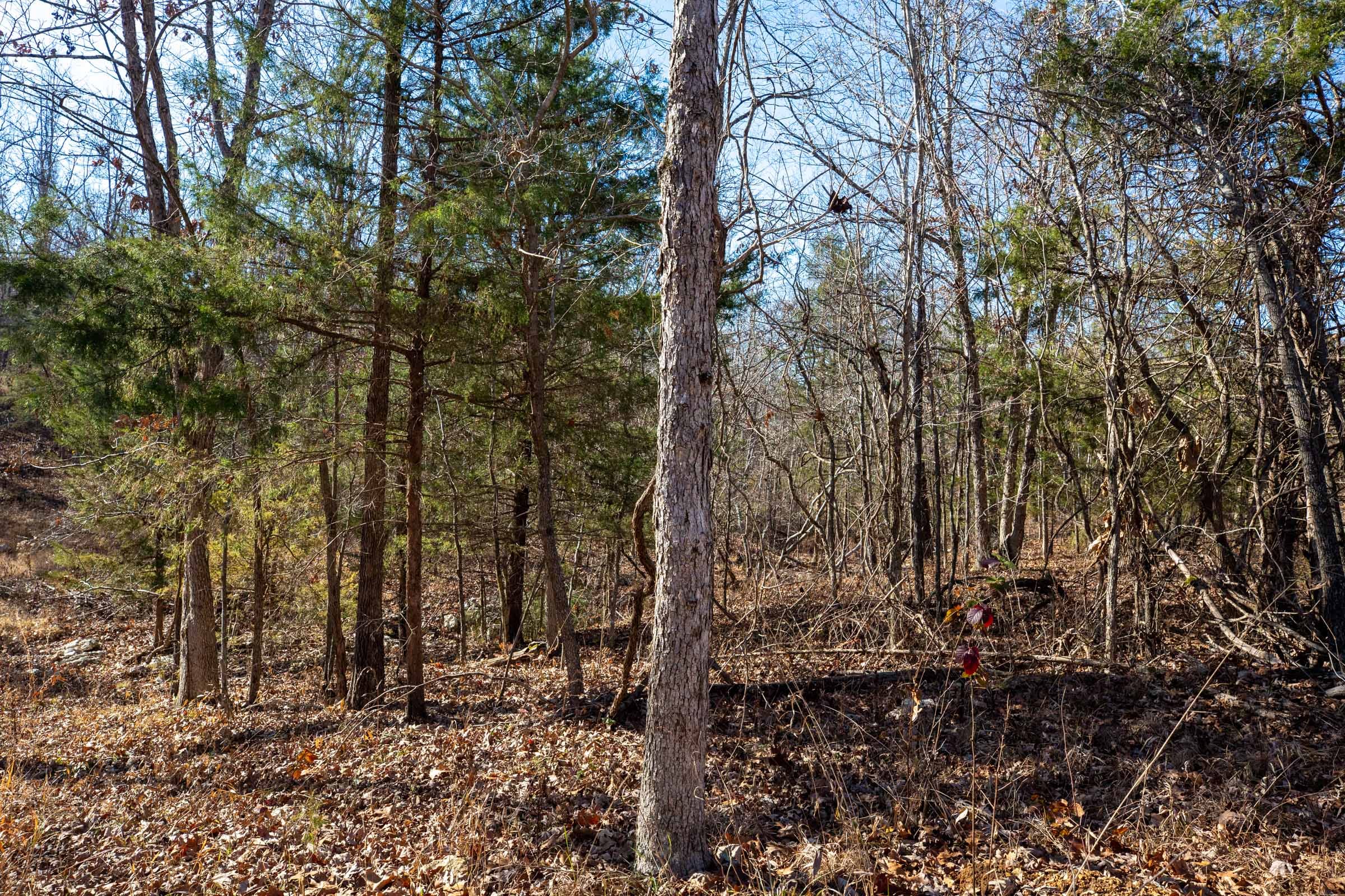 Dutchman Hollow Tract 12 photo 11