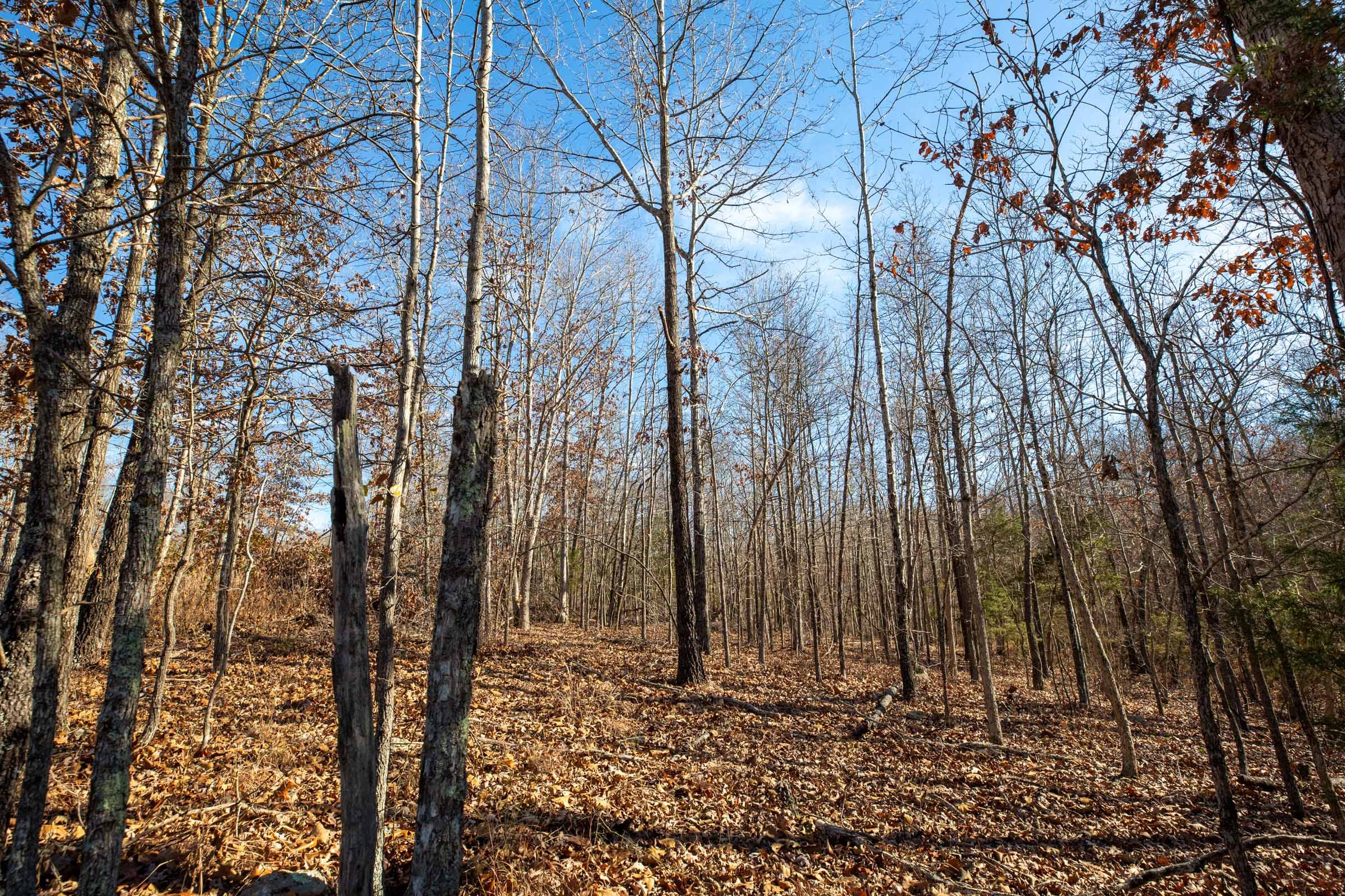 Dutchman Hollow Tract 12 photo 6