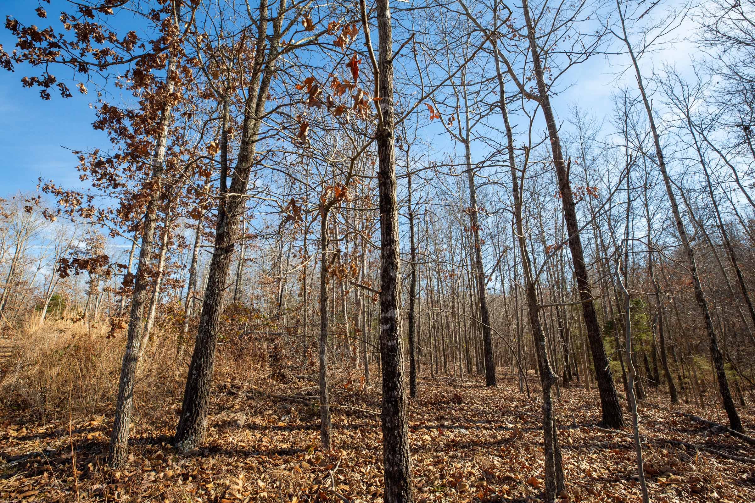 Dutchman Hollow Tract 12 photo 2
