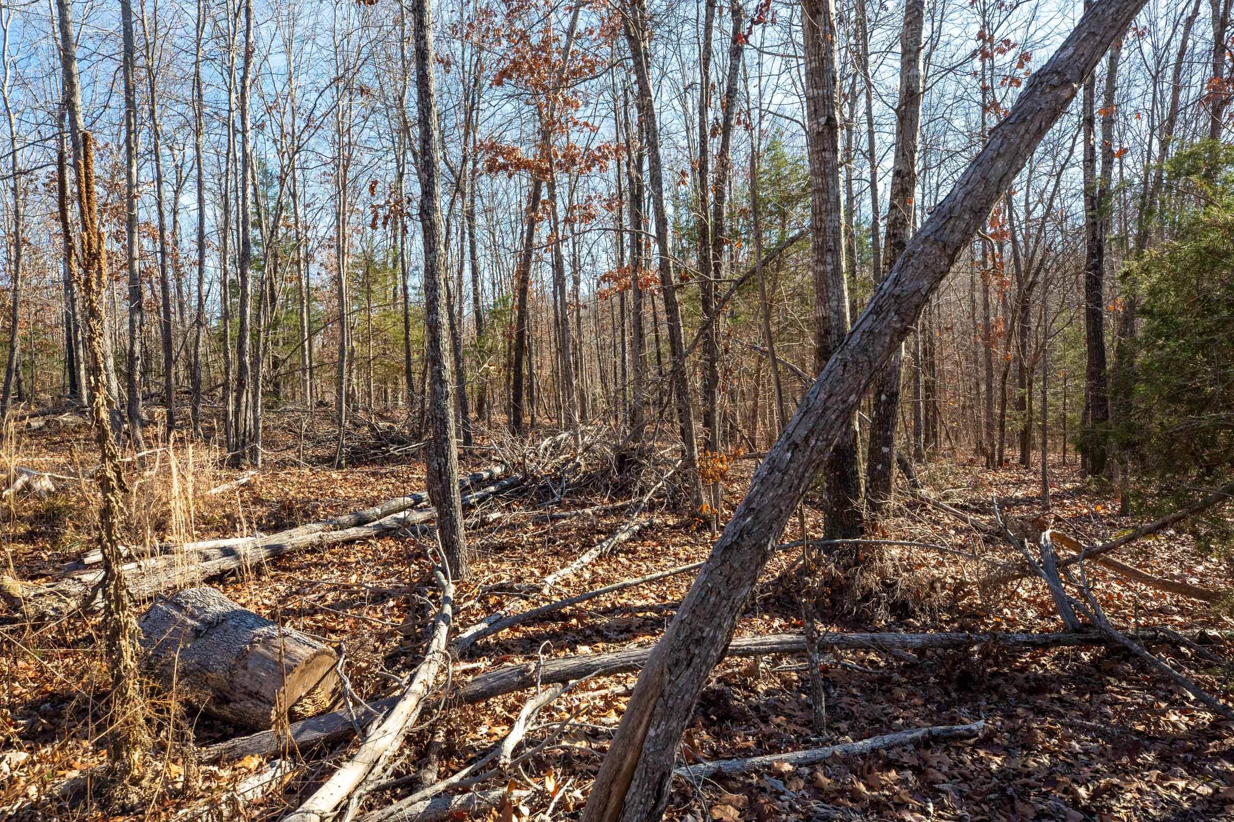 Dutchman Hollow Tract 12 photo 8