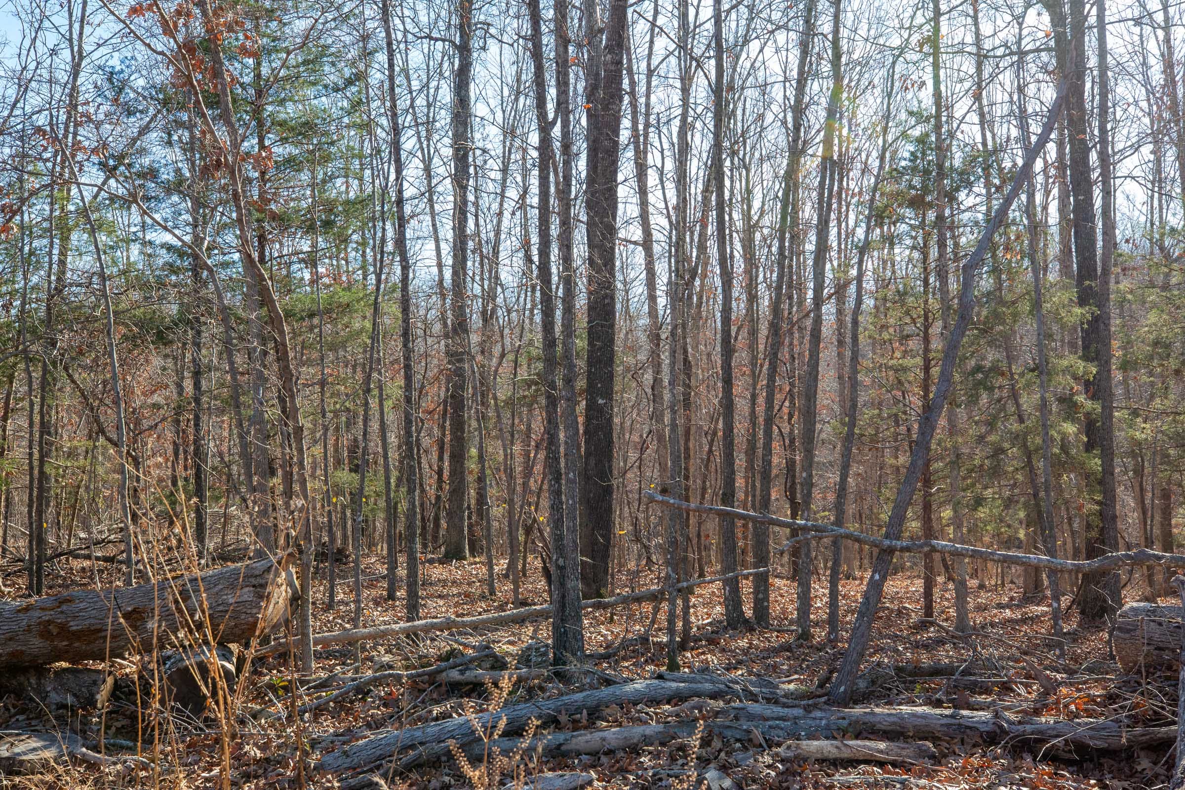 Dutchman Hollow Tract 12 photo 5
