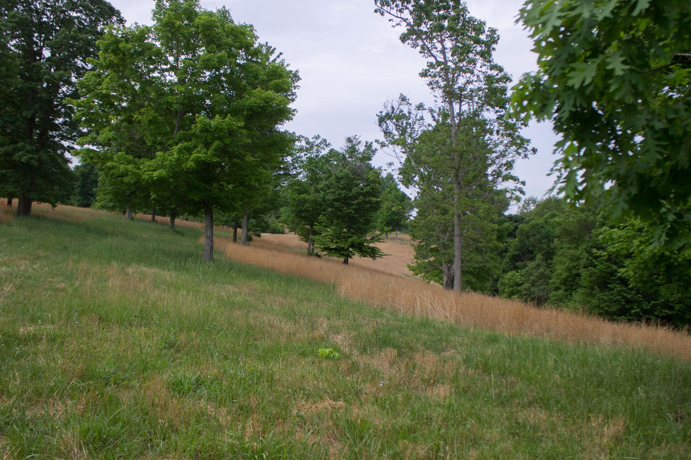 Laurel Ridge Tract 11 photo 1