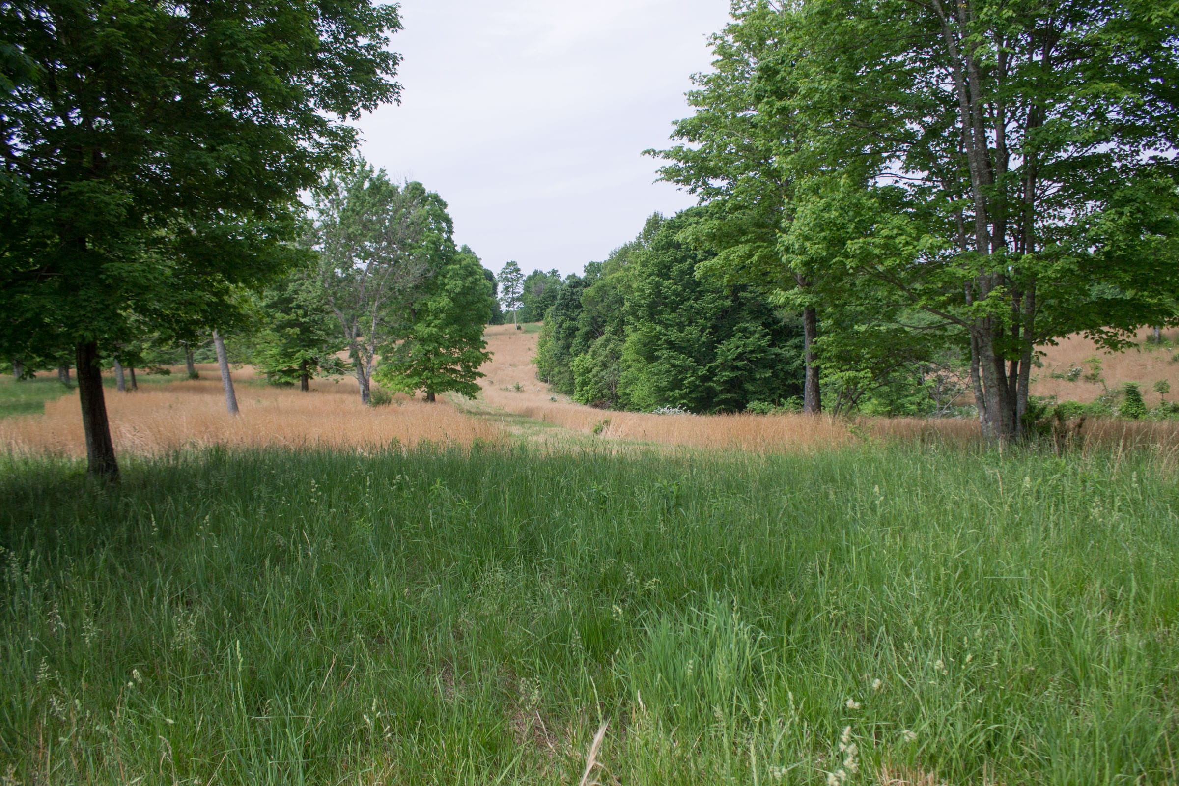 Laurel Ridge Tract 11 photo 5
