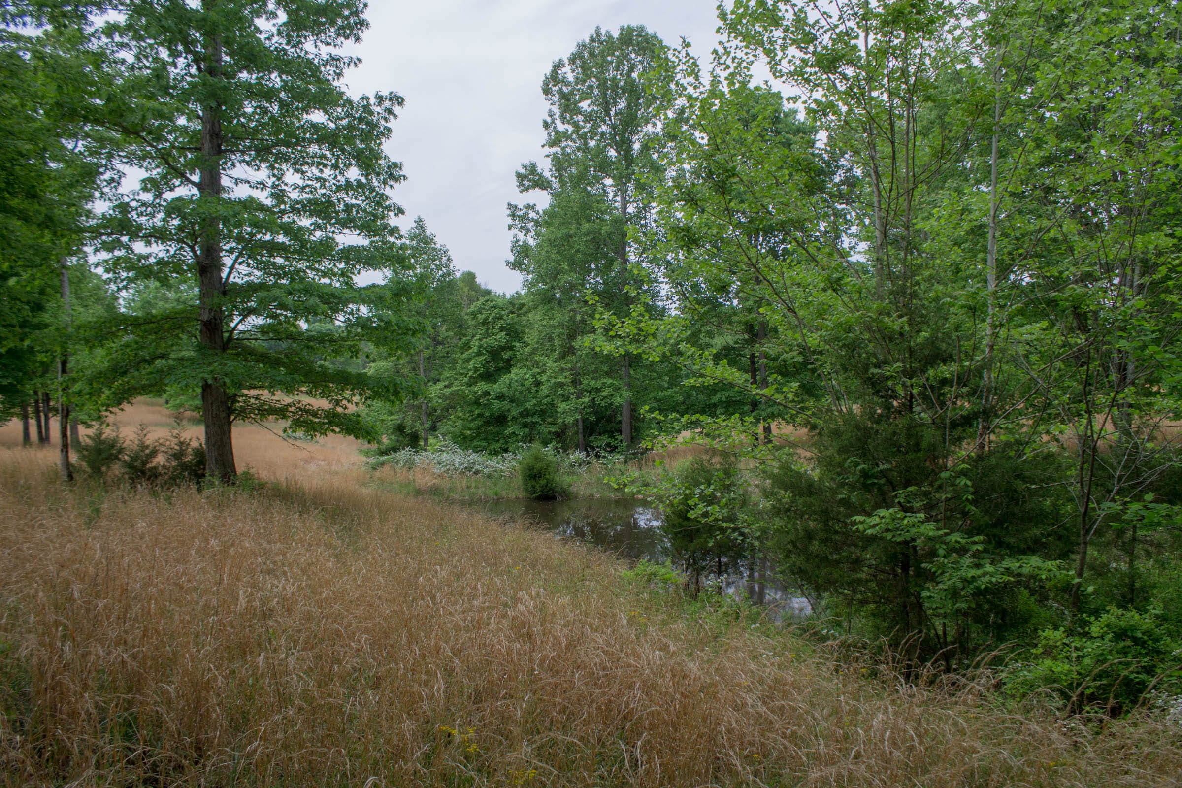 Laurel Ridge Tract 11 photo 8