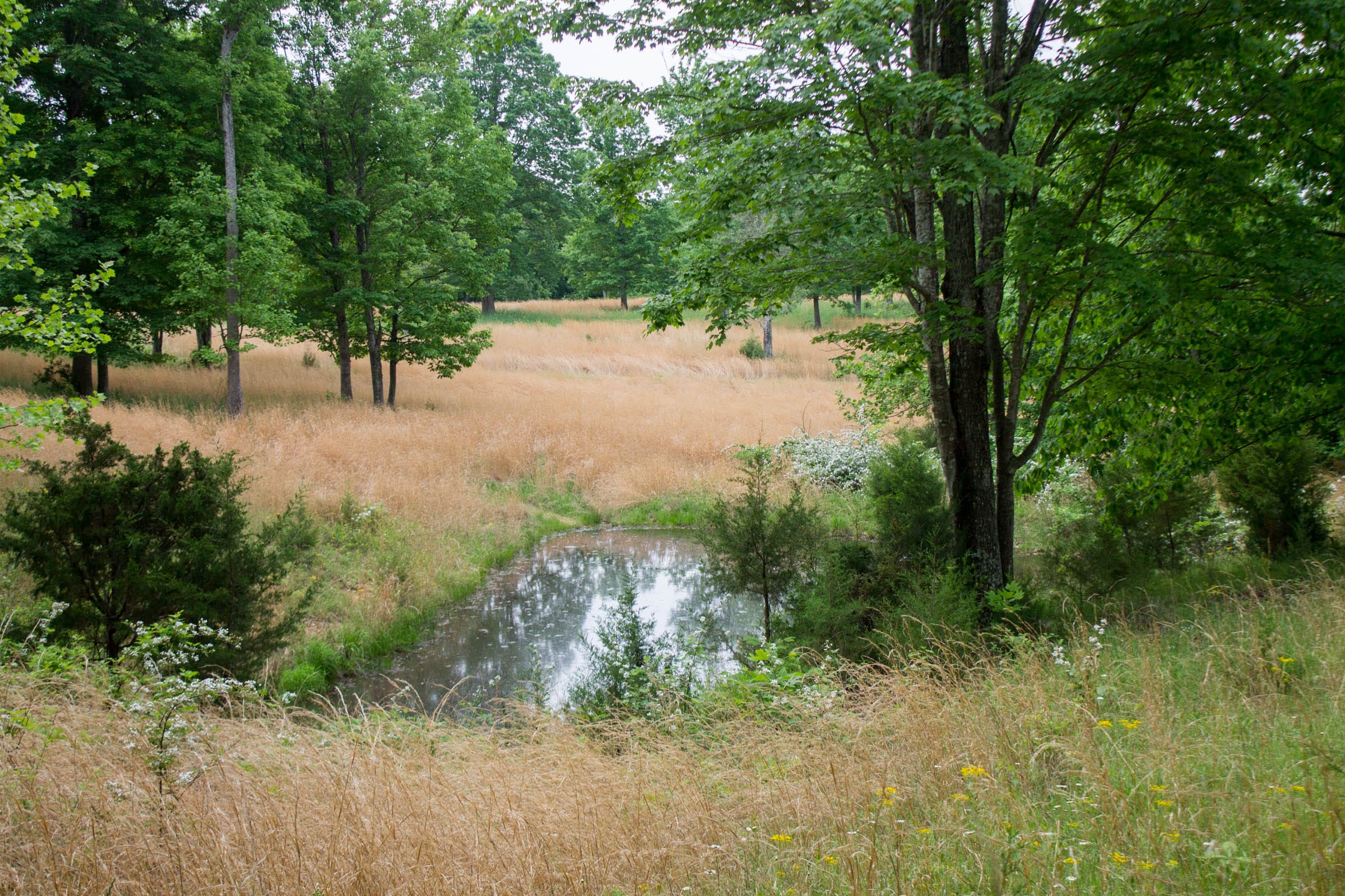 Laurel Ridge Tract 11 photo 9