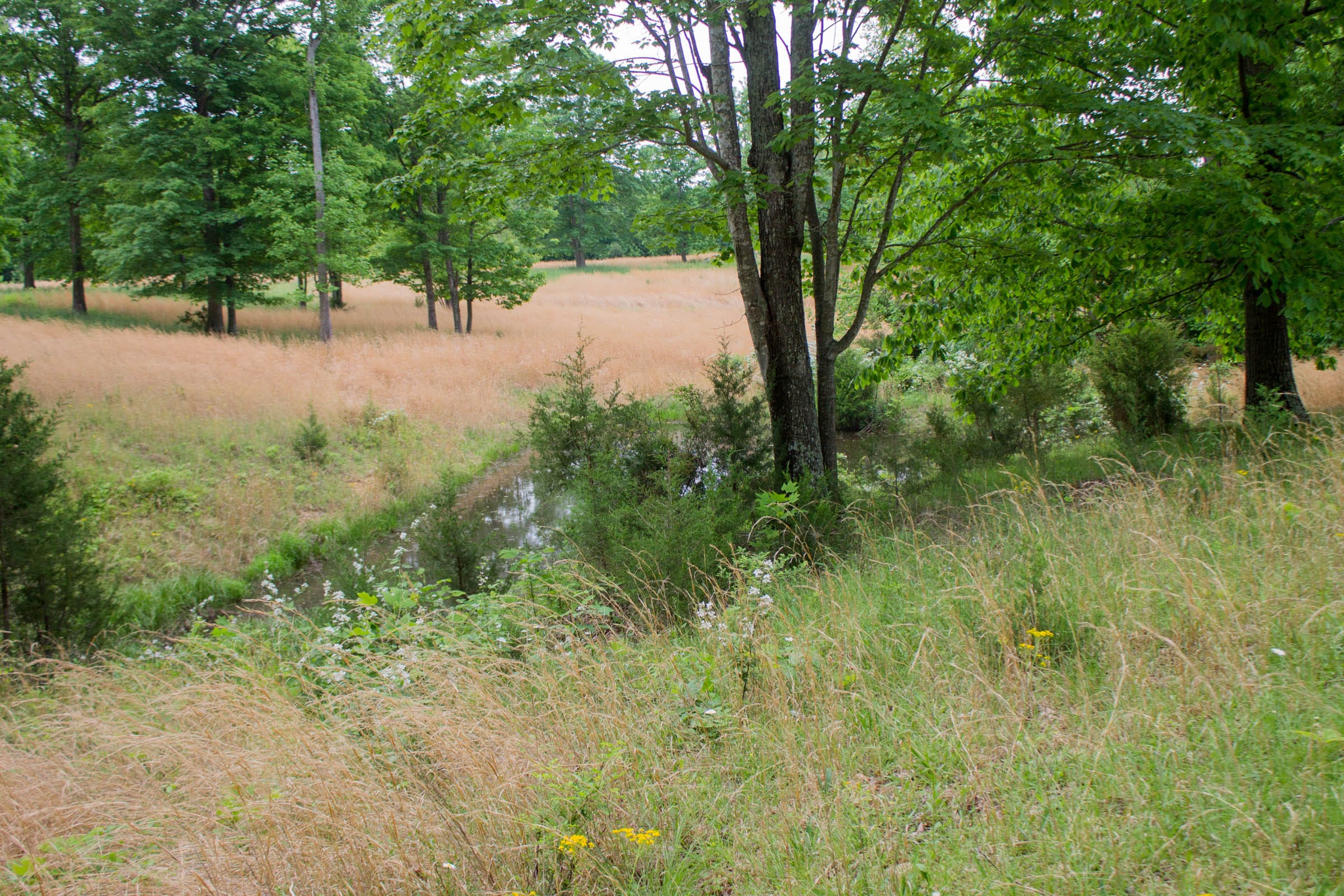 Laurel Ridge Tract 11 photo 10