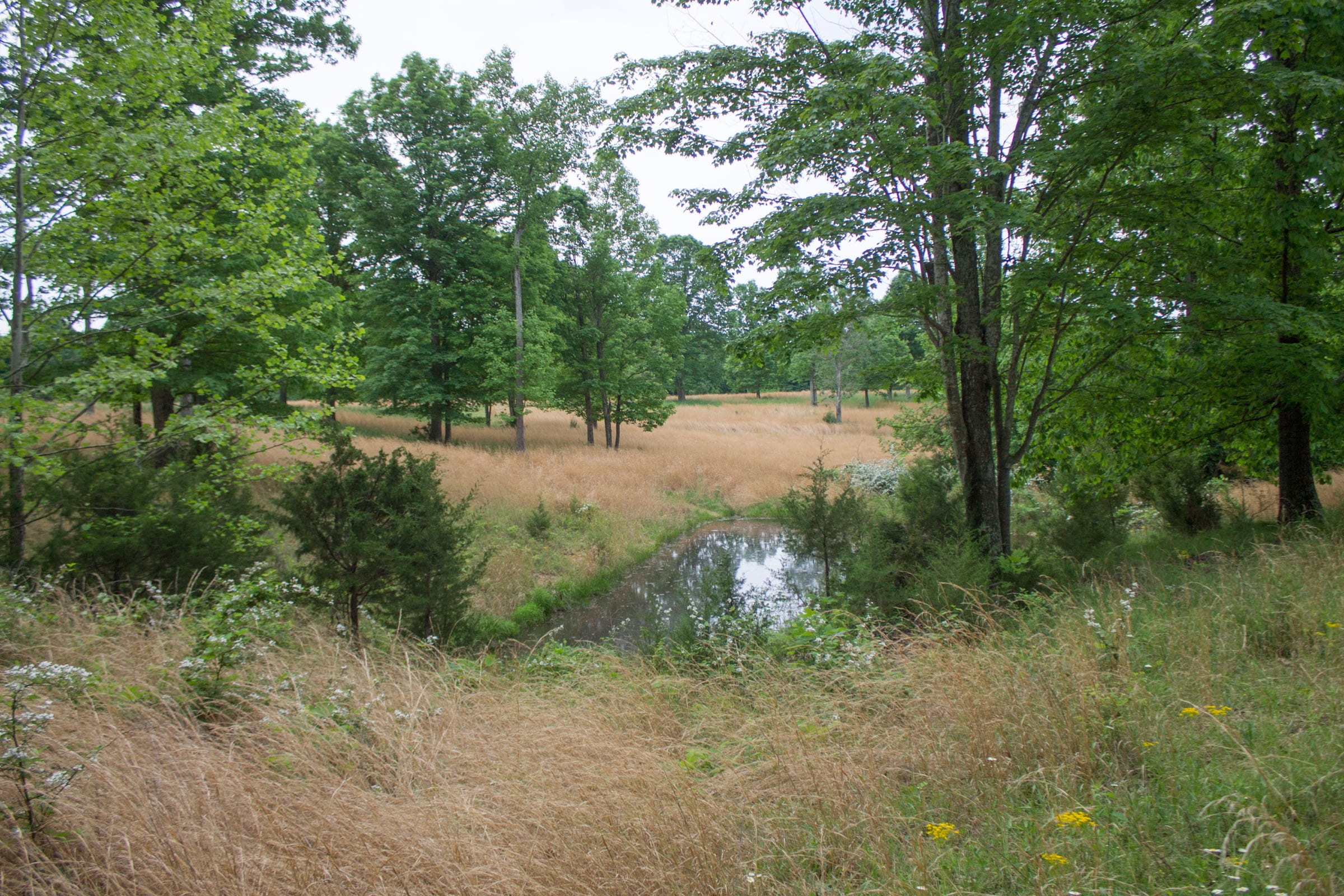 Laurel Ridge Tract 11 photo 11