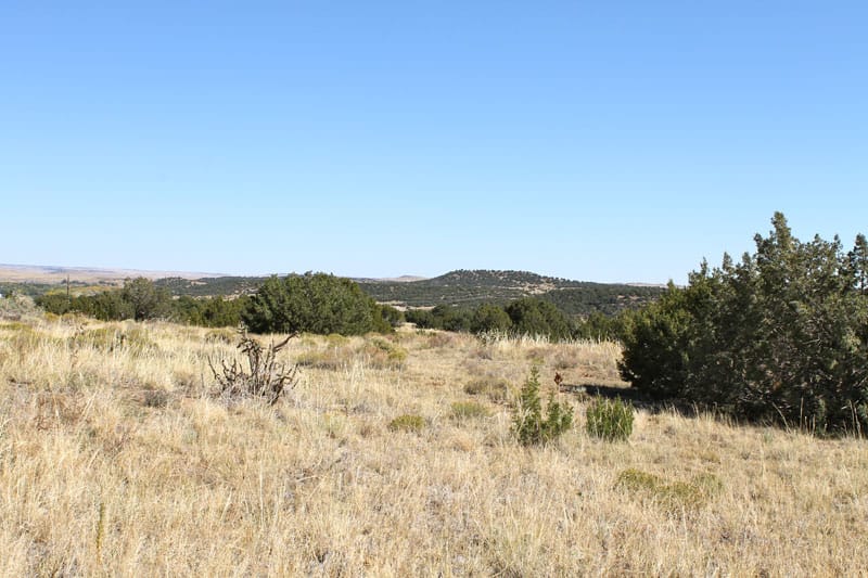 Black Diamond Park Tract 3 photo 1