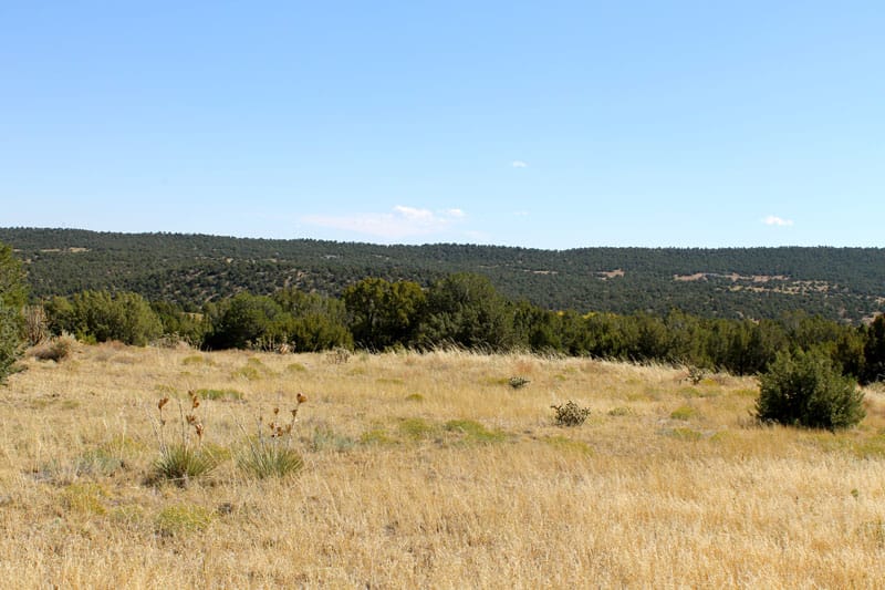 Black Diamond Park Tract 3 photo 3