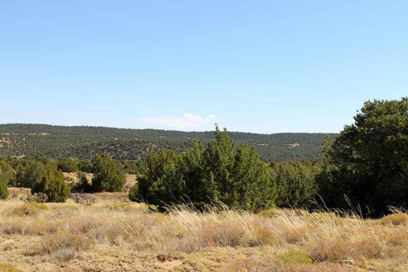 Black Diamond Park Tract 3 photo 9