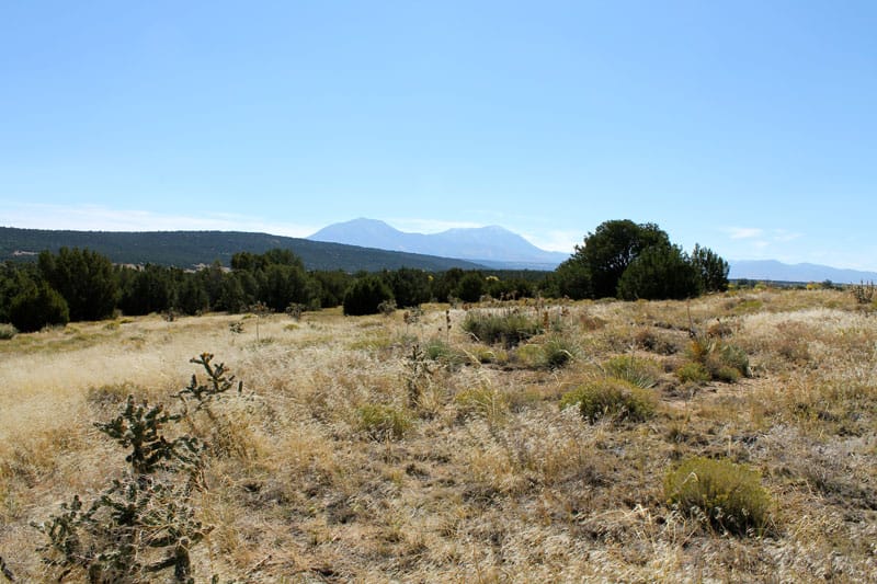 Black Diamond Park Tract 3 photo 11