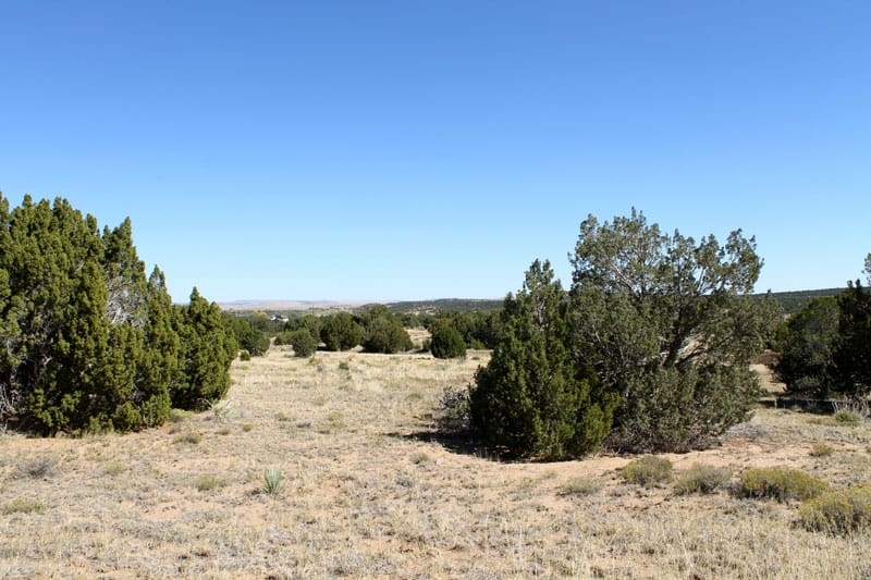 Black Diamond Park Tract 3 photo 13