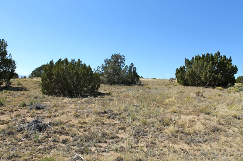 Black Diamond Park Tract 3 photo 16