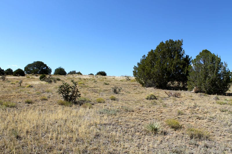 Black Diamond Park Tract 3 photo 18