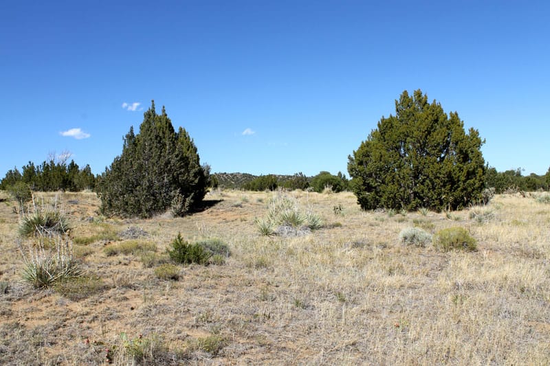 Black Diamond Park Tract 3 photo 19