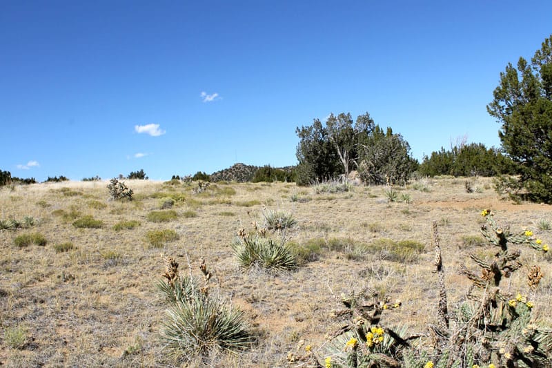 Black Diamond Park Tract 3 photo 21