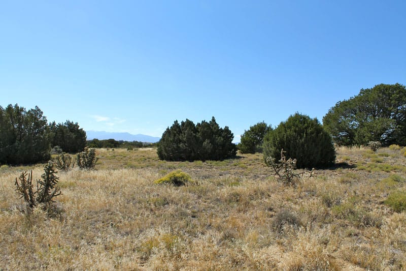 Black Diamond Park Tract 3 photo 24