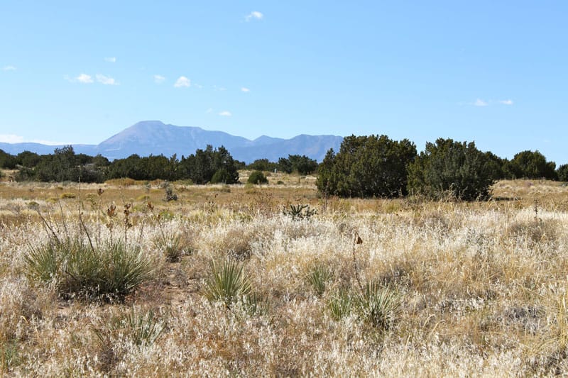 Black Diamond Park Tract 3 photo 26