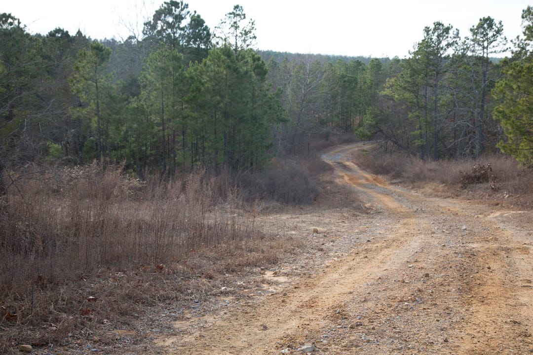 Stone Creek Phase III Tract 77 photo 3