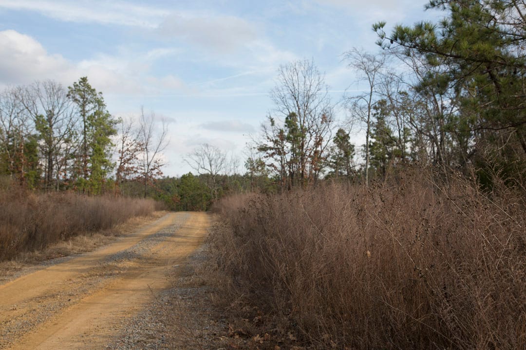 Stone Creek Phase III Tract 77 photo 4