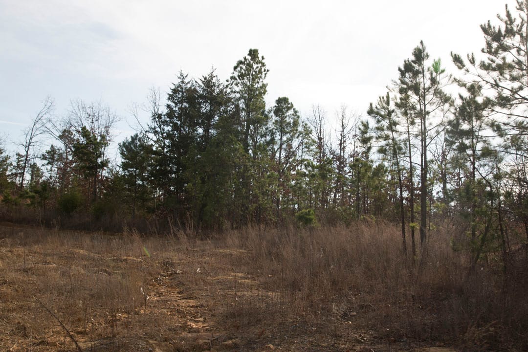 Stone Creek Phase III Tract 77 photo 5