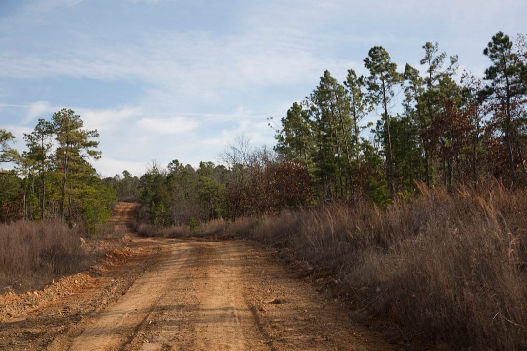 Stone Creek Phase III Tract 77 photo 6