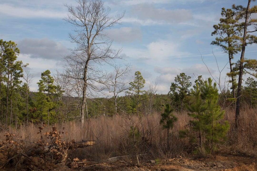 Stone Creek Phase III Tract 77 photo 7