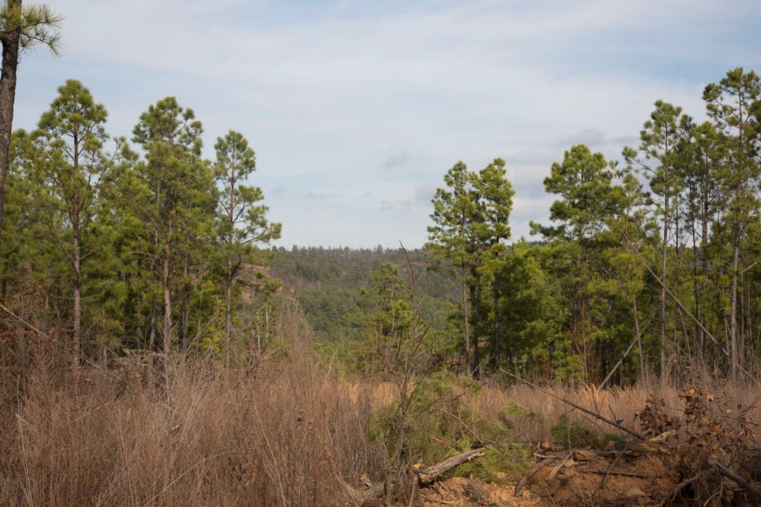 Stone Creek Phase III Tract 77 photo 8