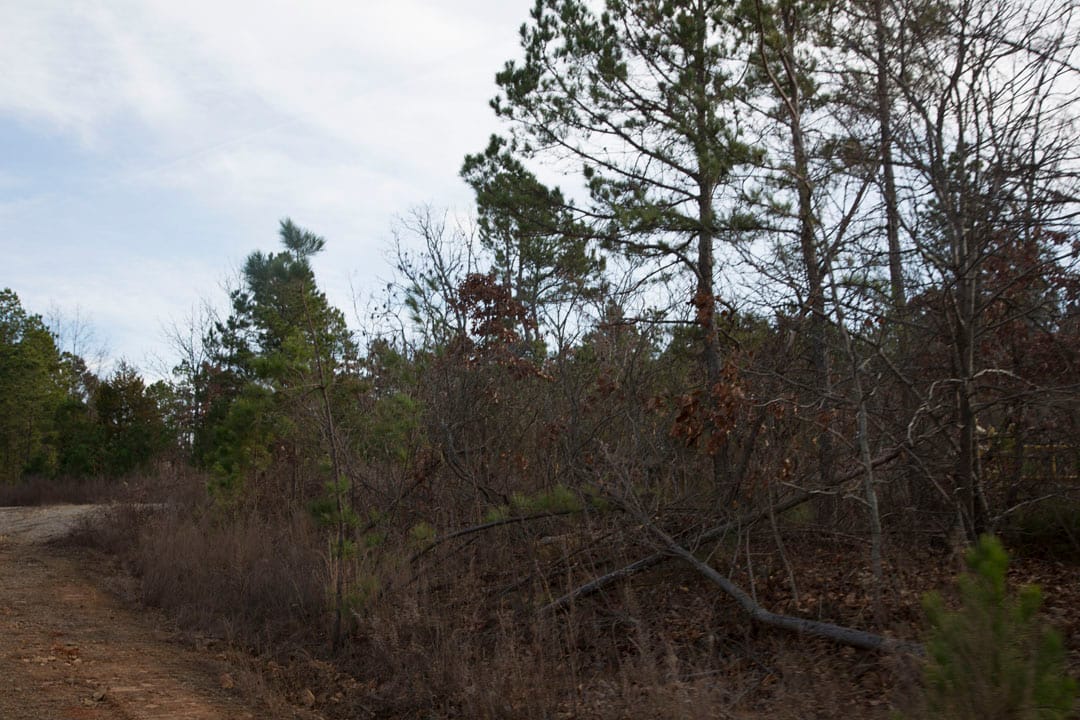 Stone Creek Phase III Tract 77 photo 9