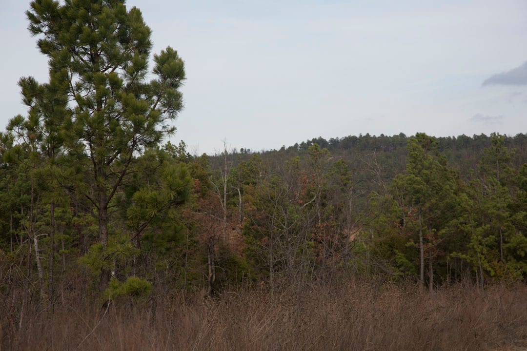 Stone Creek Phase III Tract 77 photo 15
