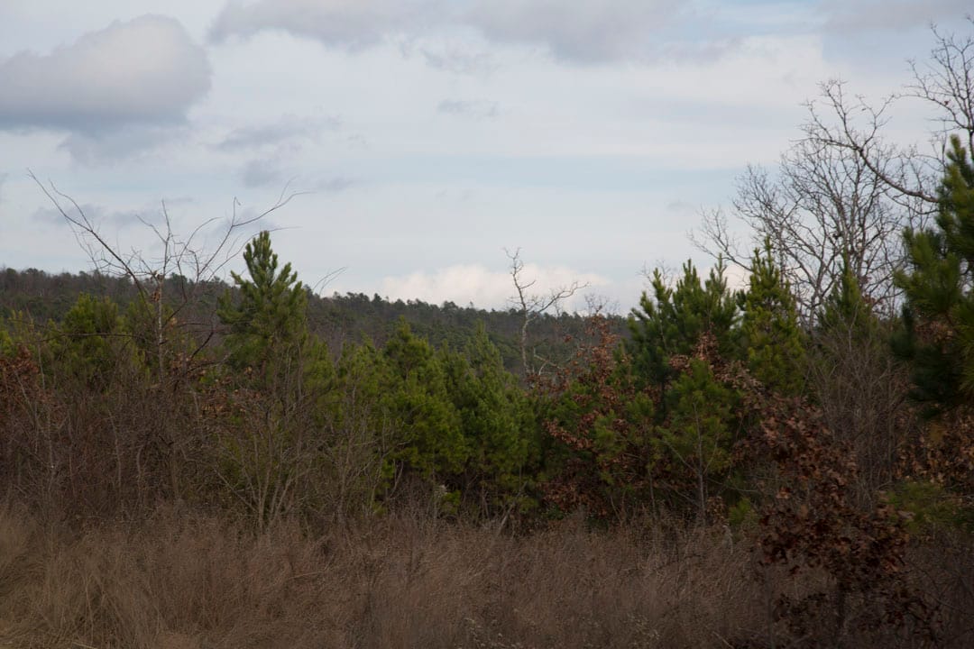 Stone Creek Phase III Tract 77 photo 16
