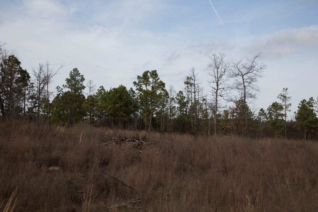 Stone Creek Phase III Tract 77 photo 17