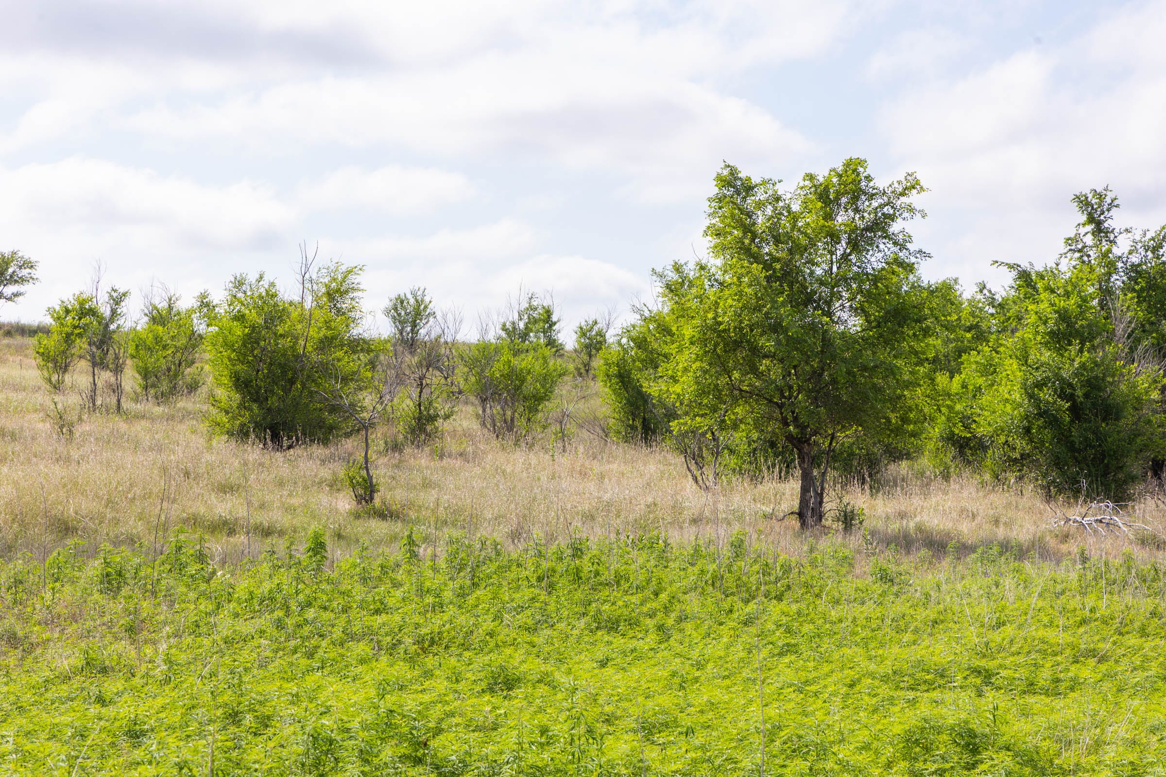 Crandall's Corner Tract 7 photo 2